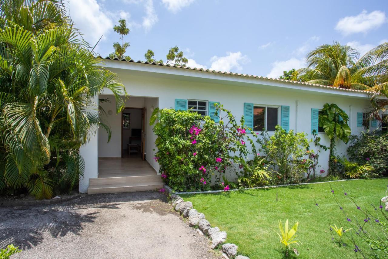 Tuk Tropical Boutique Resort Jan Thiel Willemstad Exteriér fotografie